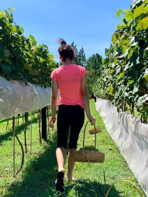 Quarto Dos Vinhos Sao Roque  Ngoại thất bức ảnh