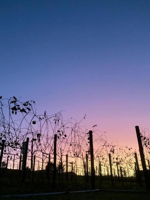 Quarto Dos Vinhos Sao Roque  Ngoại thất bức ảnh